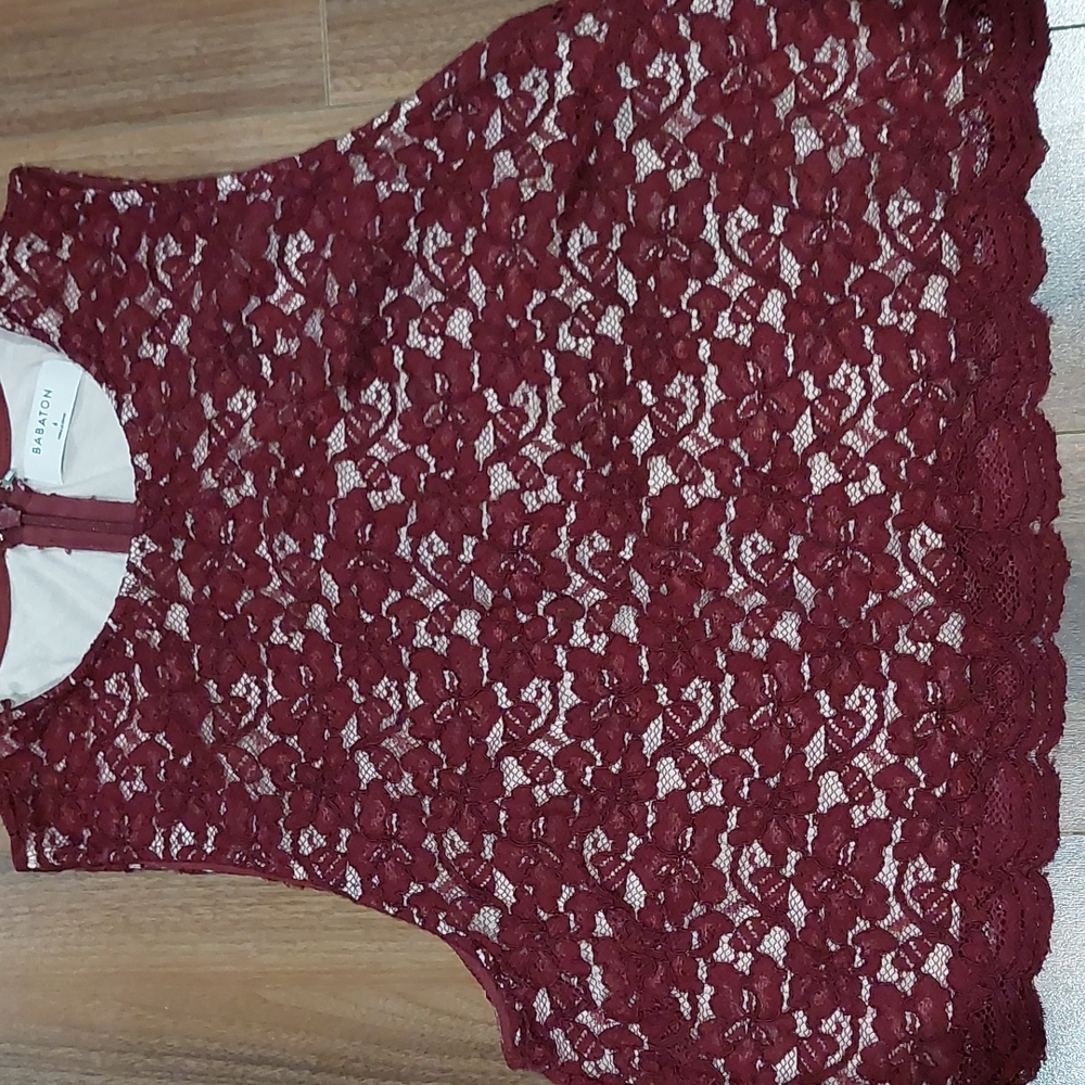 Babaton Slightly Cropped Lace Tank (6)